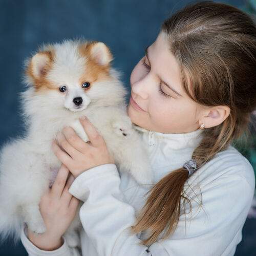 Photo #13139877