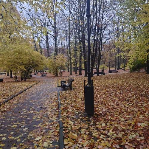 Photo #13139896