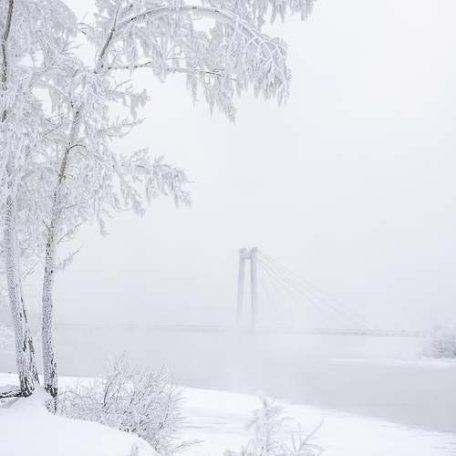 Photo #13139929