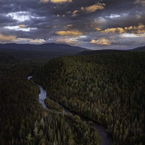 Photo #13139963