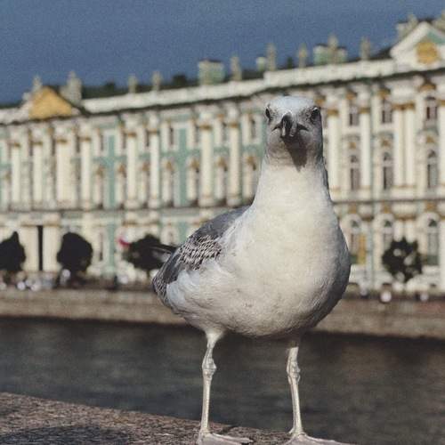 Photo #13140119