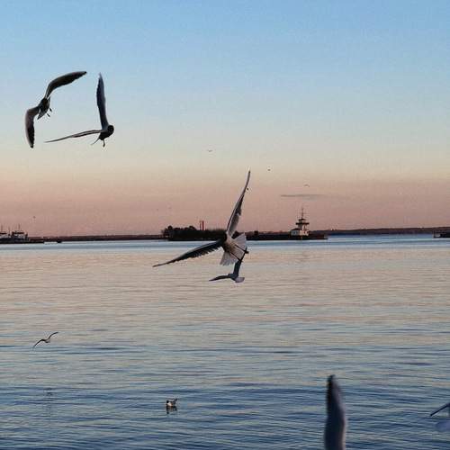 Photo #13140121