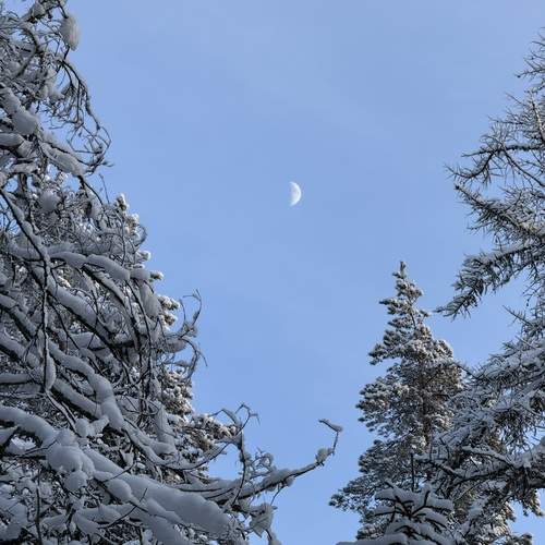 Photo #13140127