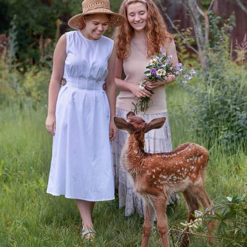 Photo #13140158