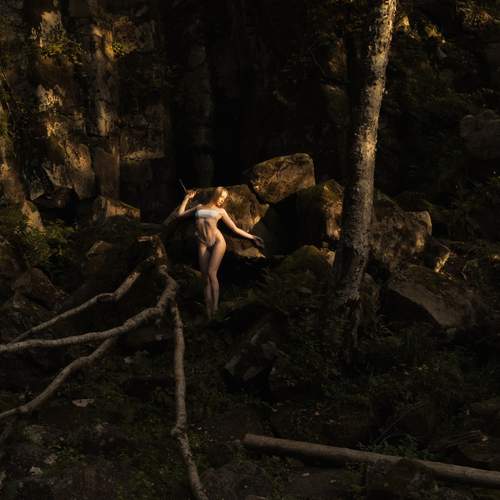Photo #13140221