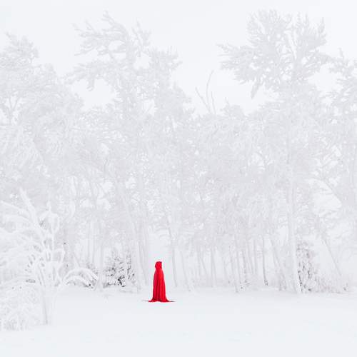 Фотография #13140249