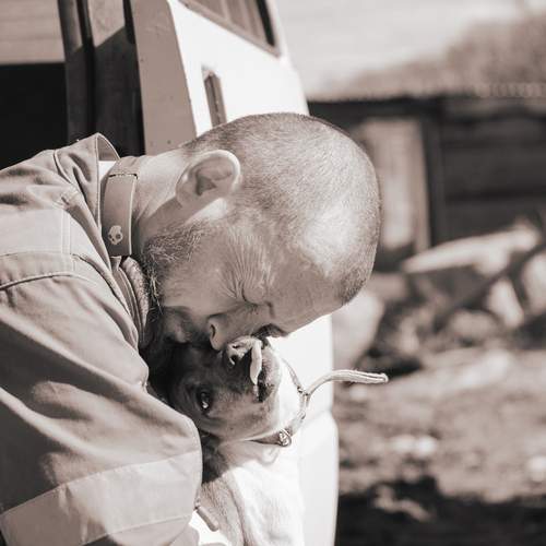 Photo #13140305