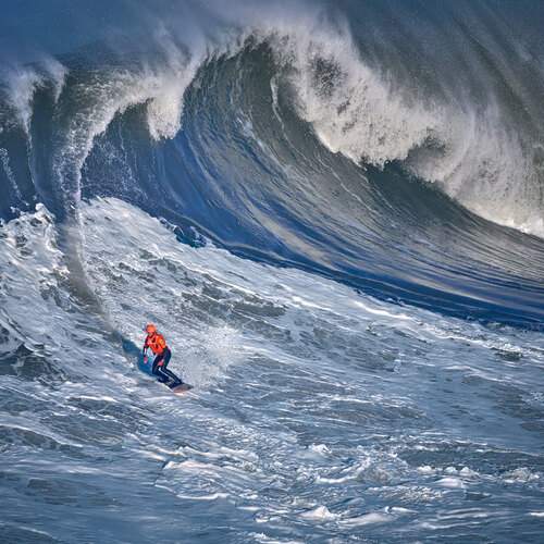 Photo #13140346