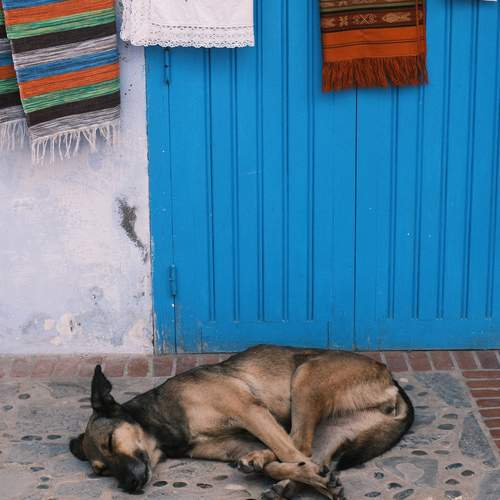 Photo #13140376