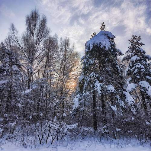 Фотография #13140603