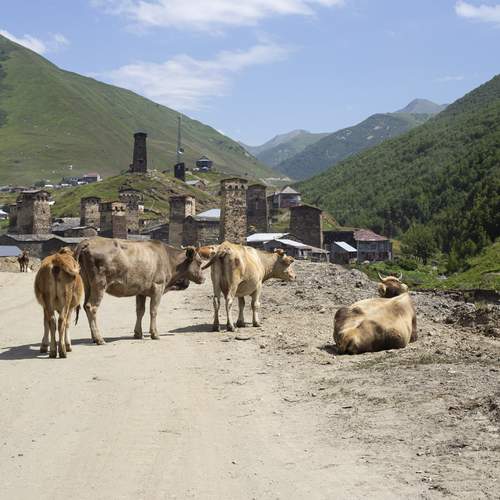 Photo #13140676