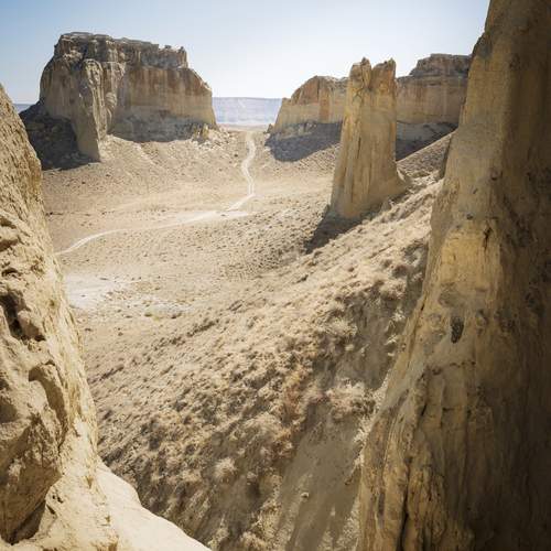 Photo #13140727