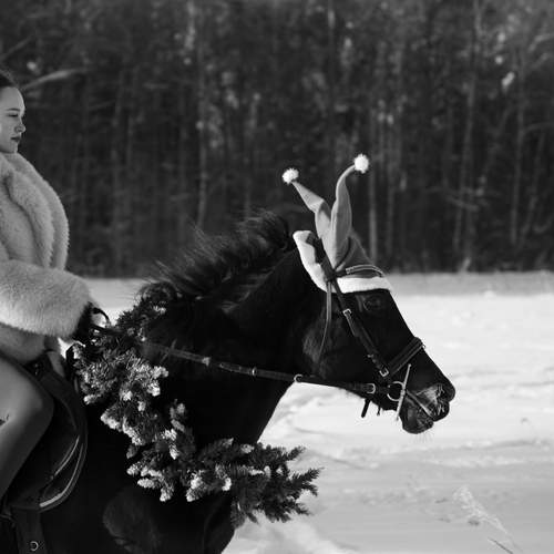 Photo #13140855