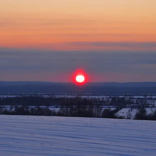 Photo #13141342