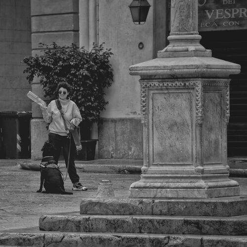 Photo #13141374