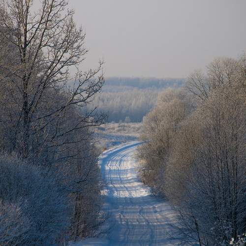 Photo #13141382