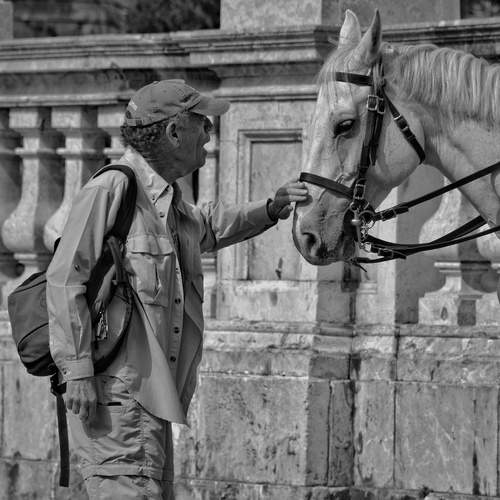 Photo #13141403