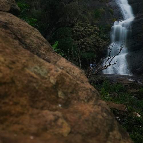 Photo #13141408