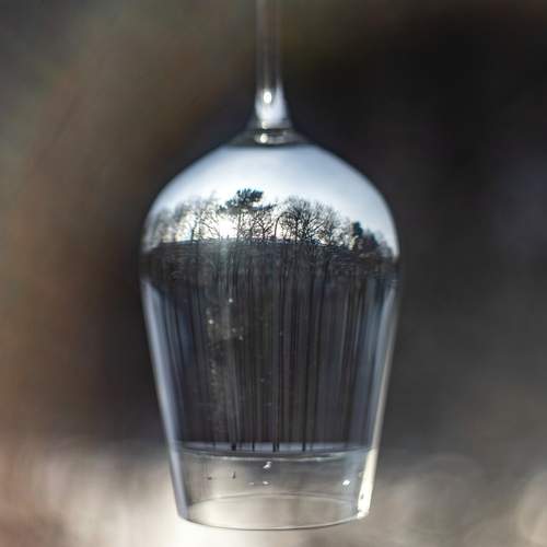 Фотография #13141492