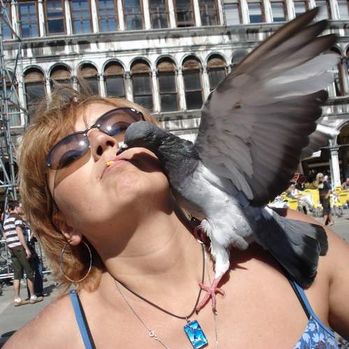 Photo #13141539