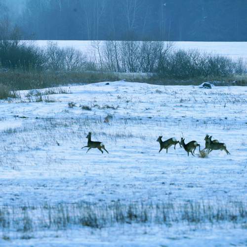 Photo #13141557