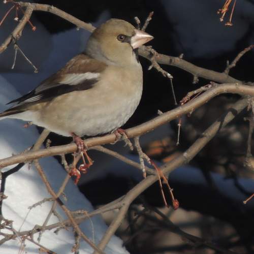 Photo #13141580