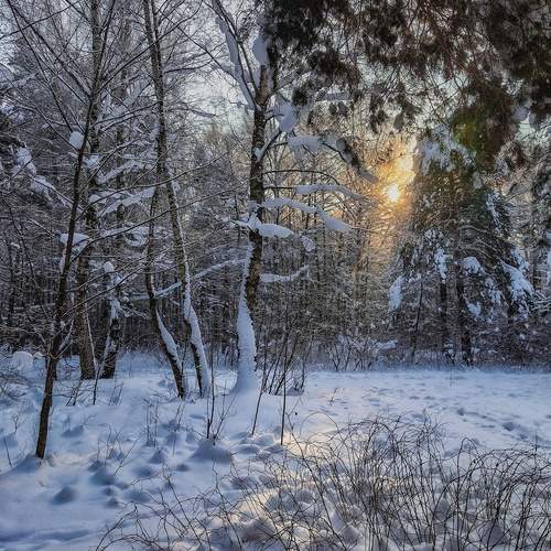 Фотография #13142022