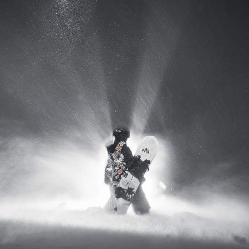 Photo #13142081