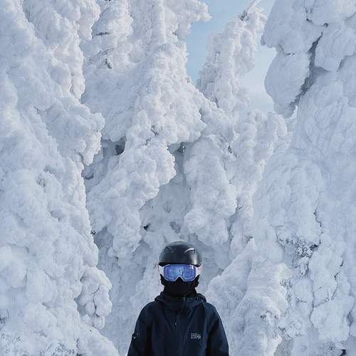 Photo #13142095