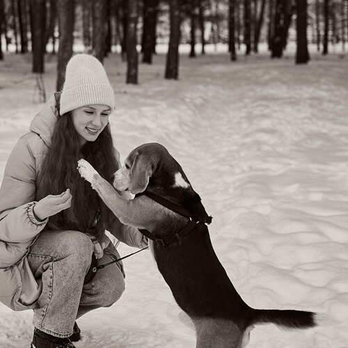 Photo #13142178