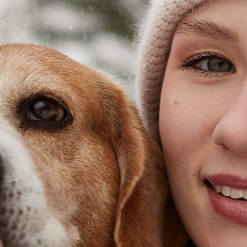 Photo #13142179