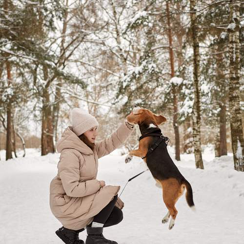Photo #13142180
