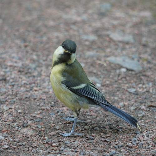 Photo #13142204