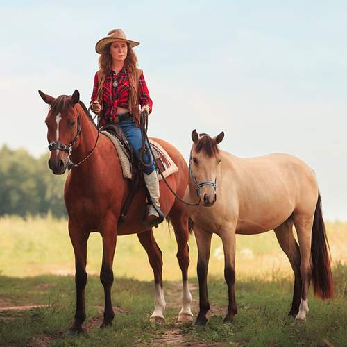 Фотография #13142392