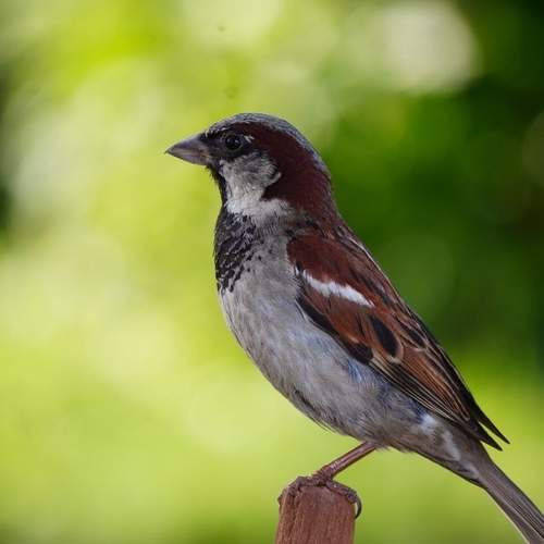 Photo #13142526