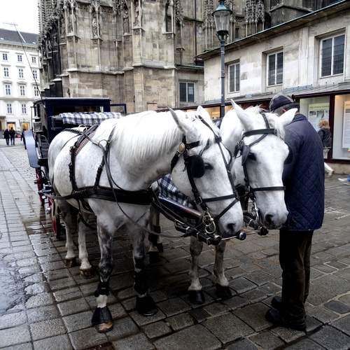 Photo #13142552