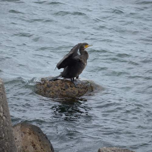 Photo #13142692