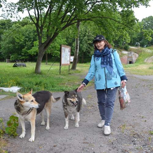 Photo #13142878