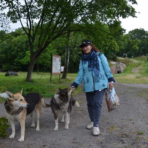 Photo #13142887