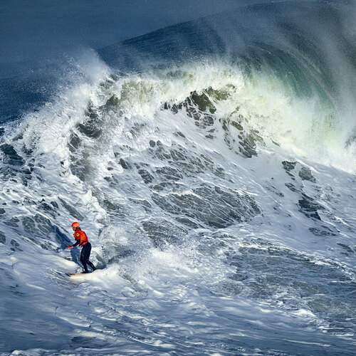 Photo #13142975