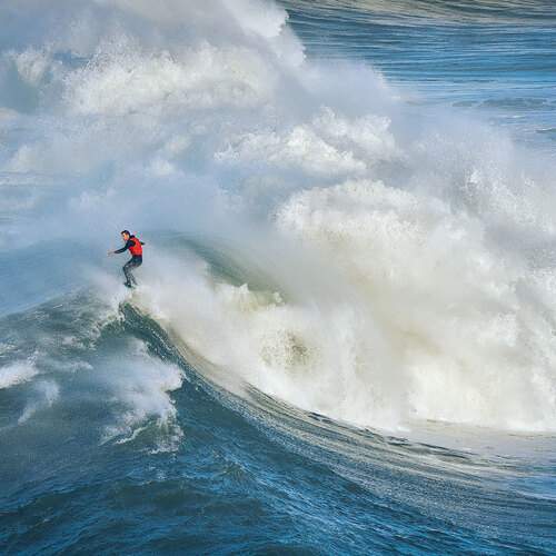 Photo #13142990