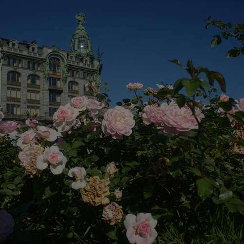 Photo #13143045