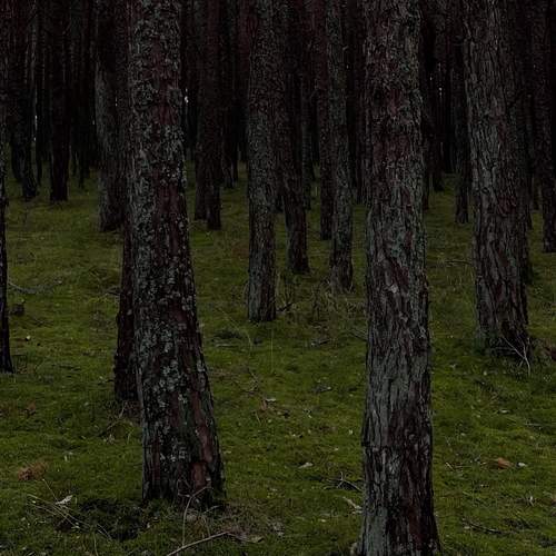 Photo #13143546