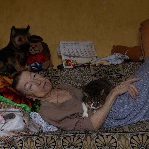 Photo #13143564