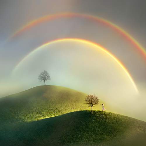 Фотография #13143714