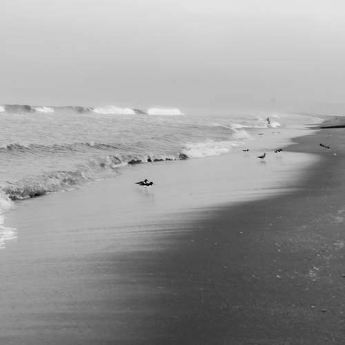 Photo #13143774