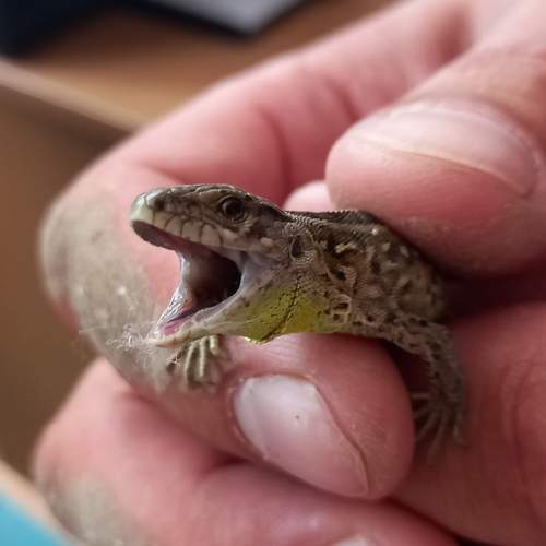 Photo #13143830