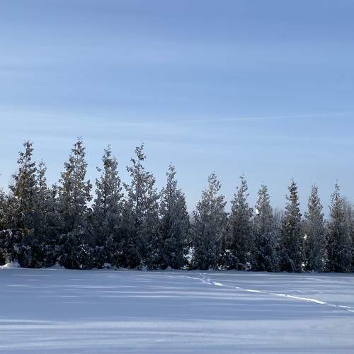 Photo #13143955