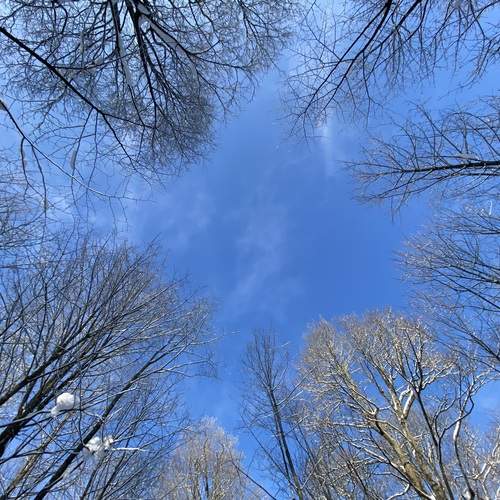 Photo #13143982
