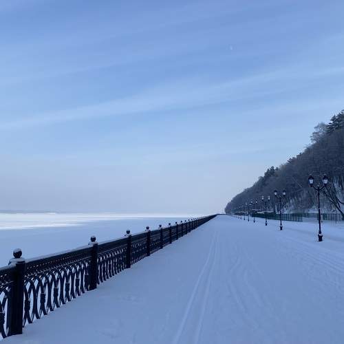 Photo #13143983